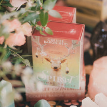 Load image into Gallery viewer, The Spirit Animal Oracle