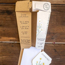 Load image into Gallery viewer, Chamomile Gift of Seeds