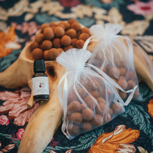 Load image into Gallery viewer, Sandalwood Nuts