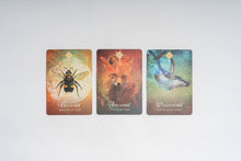 Load image into Gallery viewer, The Spirit Animal Oracle