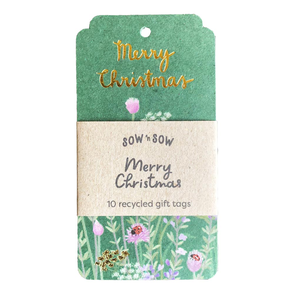 Merry Christmas Gift Tag - 10 Pack