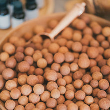 Load image into Gallery viewer, Sandalwood Nuts