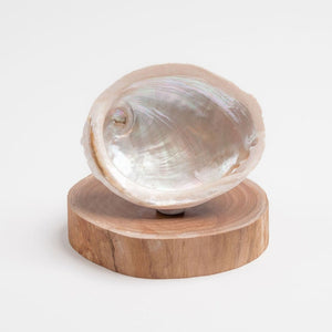 Abalone Shell (Raw)