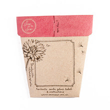 Load image into Gallery viewer, Everlasting Daisy Gift of Seeds