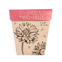 Load image into Gallery viewer, Everlasting Daisy Gift of Seeds