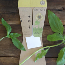 Load image into Gallery viewer, Sunflower Gift of Seeds