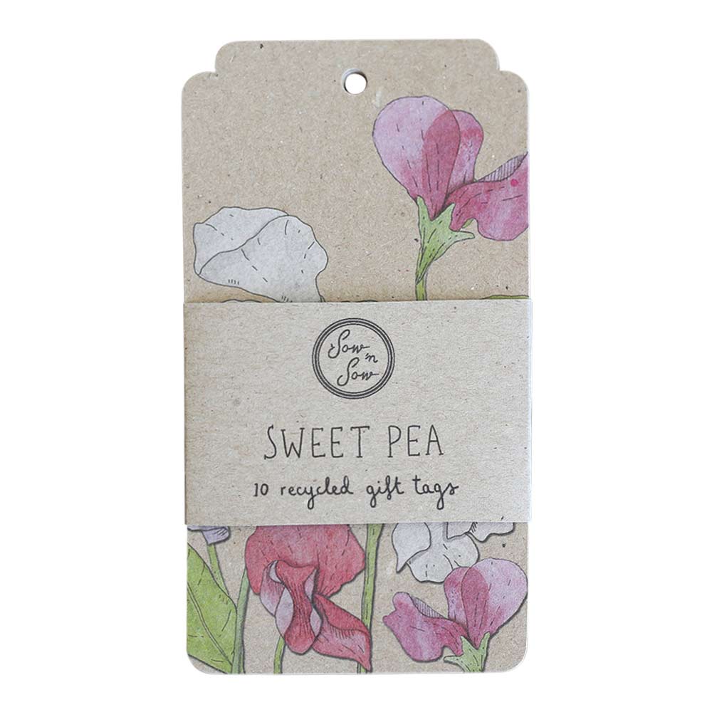 Sweet Pea Gift Tag 10 Pack