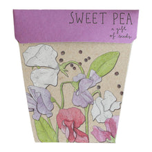 Load image into Gallery viewer, Sweet Pea Gift of Seeds
