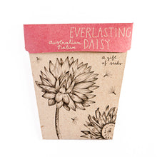 Load image into Gallery viewer, Everlasting Daisy Gift of Seeds

